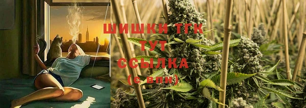 ГАЛЛЮЦИНОГЕННЫЕ ГРИБЫ Бугульма